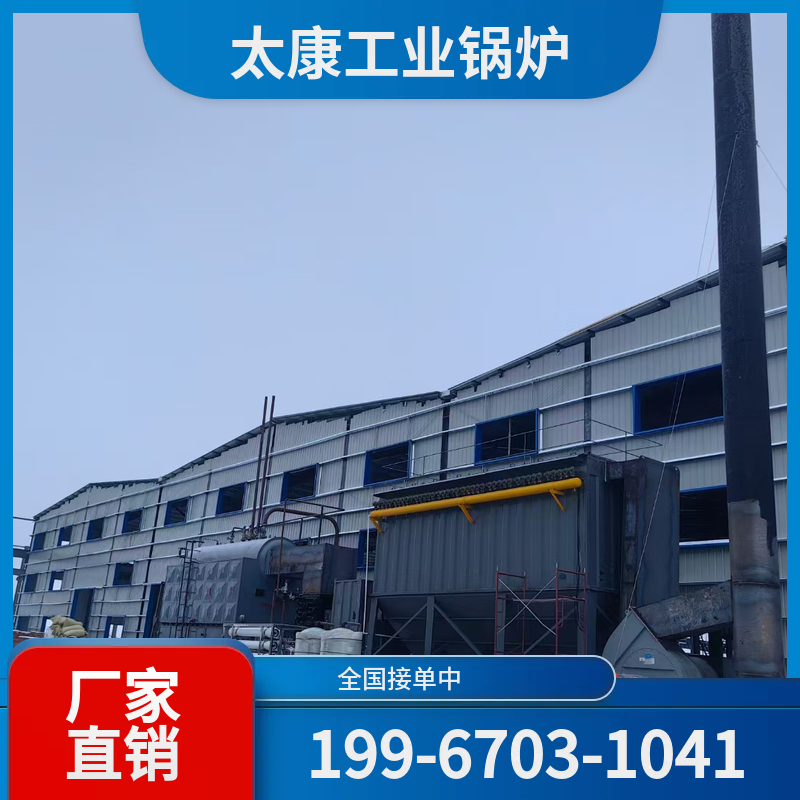 淮安生物质导热油锅炉